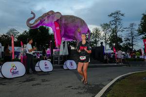 BIB: 
                            <button type="button" onclick="openModal(26529538)" class="btn btn-primary btn-sm float-right btn-popup" data-toggle="modal" data-target=".modal-high-quality">
                        <i class="fas fa-shopping-cart"></i> Add to Cart
                    </button>
                                            <button type="button" onclick="isThisMe(26529538, true)" class="btn btn-success btn-sm float-right btn-popup btn-isme hidden" data-toggle="tooltip" data-placement="bottom" title="นี่คือรูปของคุณใช่ไหม คลิกที่นี่เพื่อเอาเข้าอัลบั้ม">
                        <i class="fas fa-plus"></i> Add to album
                    </button>
                    <button type="button" onclick="isThisMe(26529538, false)" class="btn btn-warning btn-sm float-right btn-popup btn-isnotme hidden">
                        <i class="fas fa-ban"></i> Remove from album
                    </button>